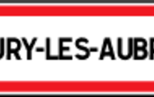 45 Fleury les Aubrais - Chpt Régional EDT 10 mètres 2019.