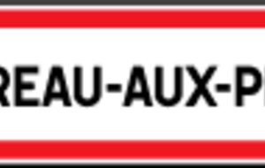 45 MAREAU AUX PRES - 28° Concours 10 m 